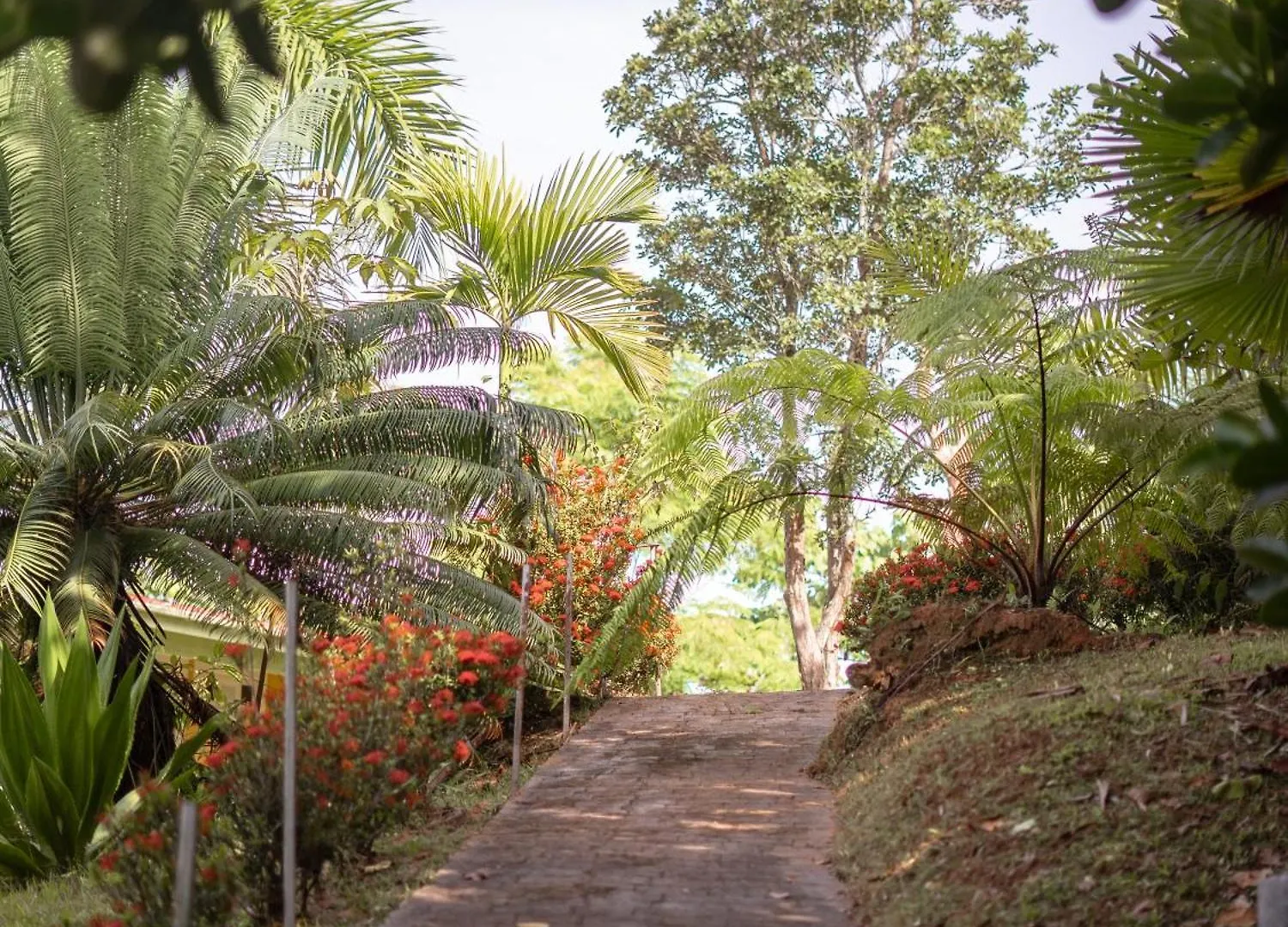 El Oasis Hotel Aguada